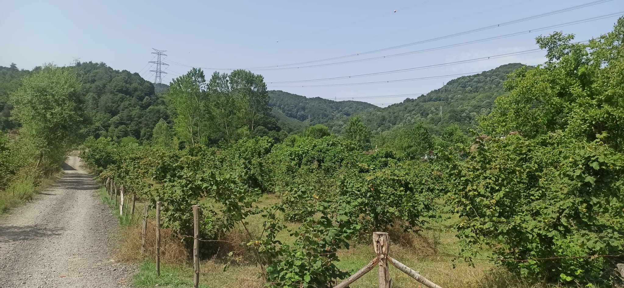 İlan Fotoğrafı